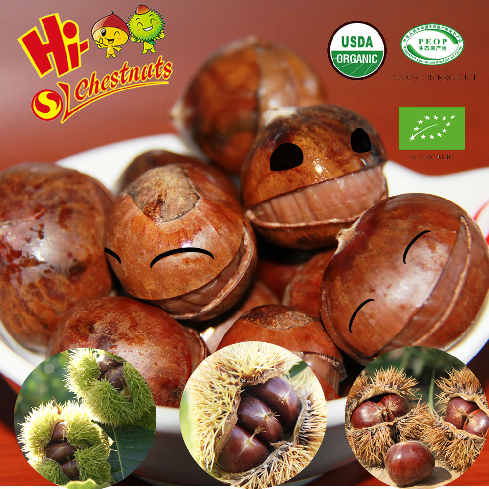 Organic Roasted Chestnuts in Shell Halal Snacks