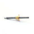 Lead Screw Tr10x2 with brass nut