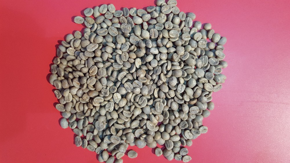 Brazil coffee beans,green coffee beans,raw coffee beans,coffee factory