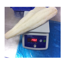 light salted cod fillet fish top grade,light salted cod fillet new season,light salted cod fillet fish top grade detail