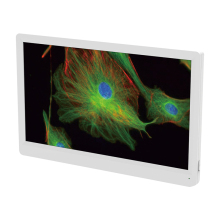 BestScope BLC-600 HD LCD Digital Camera - 6MP 11.6 Inches