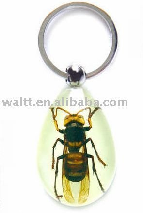 Beetle Pendant Insect keychain