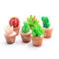 Assorti aléatoire Design mixte Flatback résine Cactus Cabochon Kawaii Mini Cactus plante en pot succulente fée jardin décor