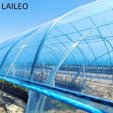 GT 200micro Plastiv UV Film: Affordable Greenhouse Plastic Film & Accessories