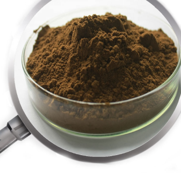 Natural 25% Polyphenols Yerba Mate Extract powder Yerba