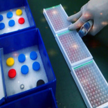 Rat epidermal growth factor (EGF) ELISA Kit