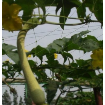 Rete da giardino in plastica estrusa per agricoltura