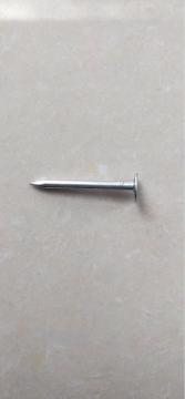 Wholesale Linoleum Nail for Sale