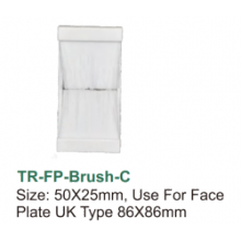 UK Type 86x86mm Faceplate with 50x25mm Size