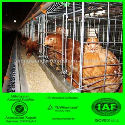 Automatic Poultry Farming Equipment,Chicken Cage( ISO9001,factory)