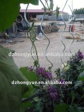electro galvanized tomato spirals plant support