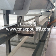 Egg Conveyor Belt For Chicken Farming Equipment