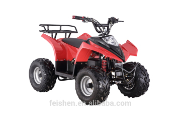 500w kids atv new 500w electric ATV kids 36v Electric ATV (FA-AE500W)