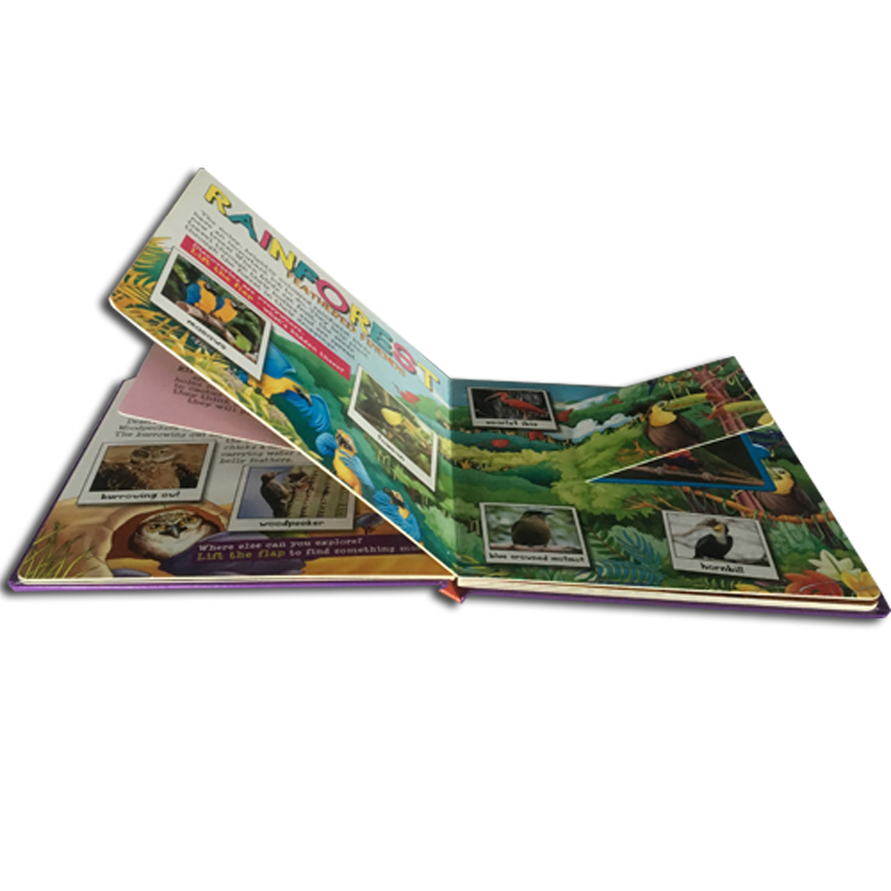 Flap English Animal Hardcover Board Book