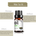 pure natural white tea essential oil massage oil aroma