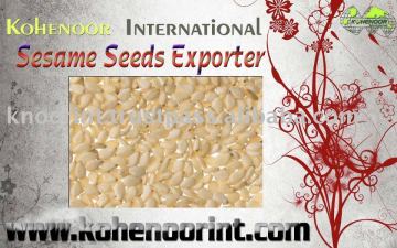 New Crop SESAME SEEDS Pakistan Origin-Exporter Kohinoor International