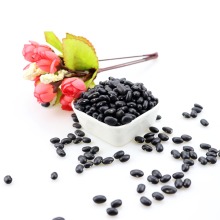 hot sale organic black kidney beans