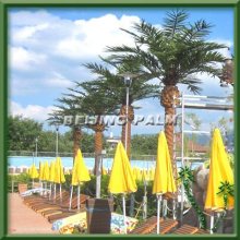factory price artificial palm tree,outdoor canary palm tree,big tree