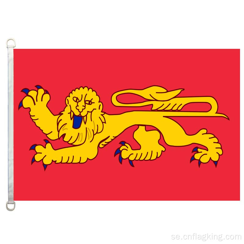 100% polyster 90 * 150 CM Aquitaine banner Aquitaine flagga