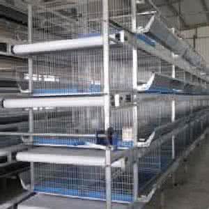 Poultry Farming System Ventilation