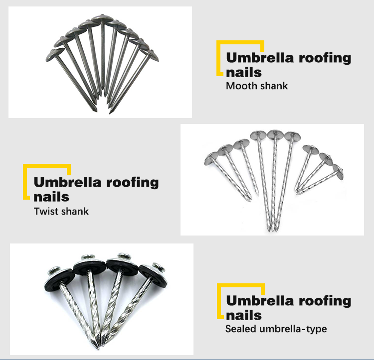 2"*bwg11 umbrella head roofing nail 2.5" galvanized smooth shank umbrella head roofing nails electro galvanized