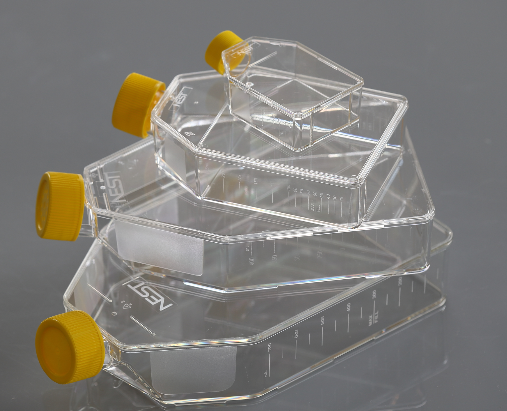 Cell Culture Flasks