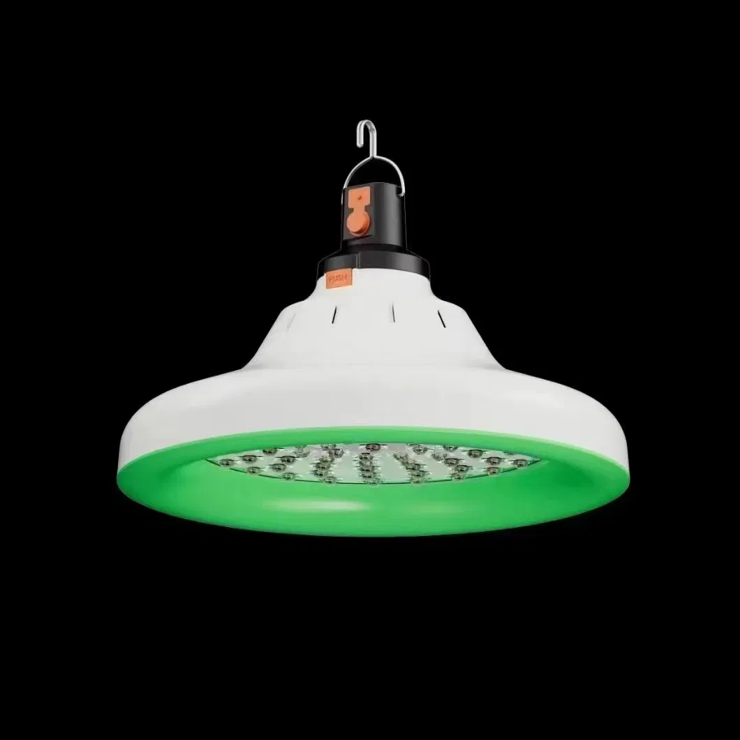 Portable Rechargeable LED Light Bulb for Power Failures