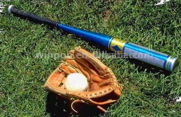 stylish aluminum baseball bat