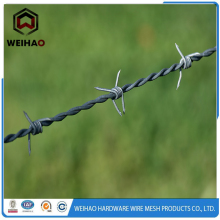 Rural barbed fence wire