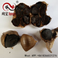 Black Garlic Benefits From Fermenation