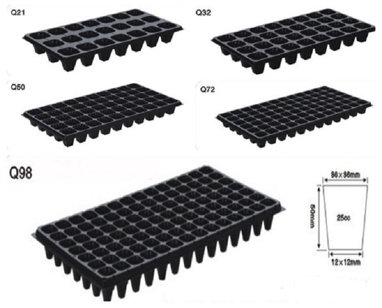 Plastic Rice Seed Growing Tray 200cell