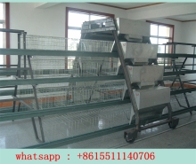 chicken layer cage price, chicken cage