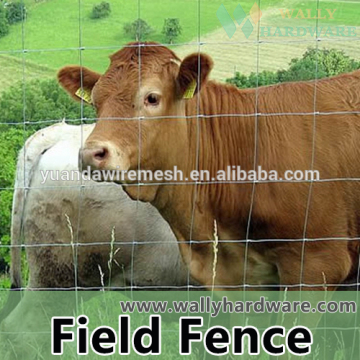 knotted galvanized livestock wire fence mesh