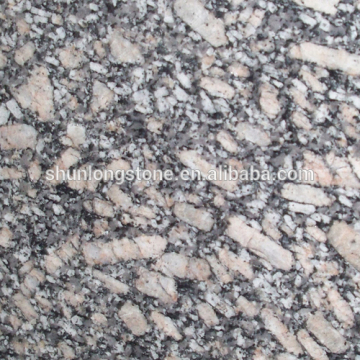 Gubella shell granite stone tile