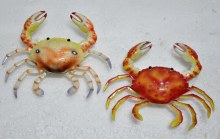 10" Crab Garden Stakes