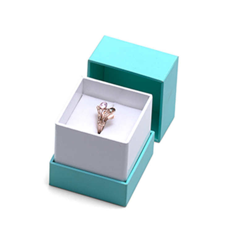 Kleines Ringgehäuse 1 Small Ring Case 1