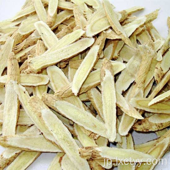 astragalus membranaceusティールート