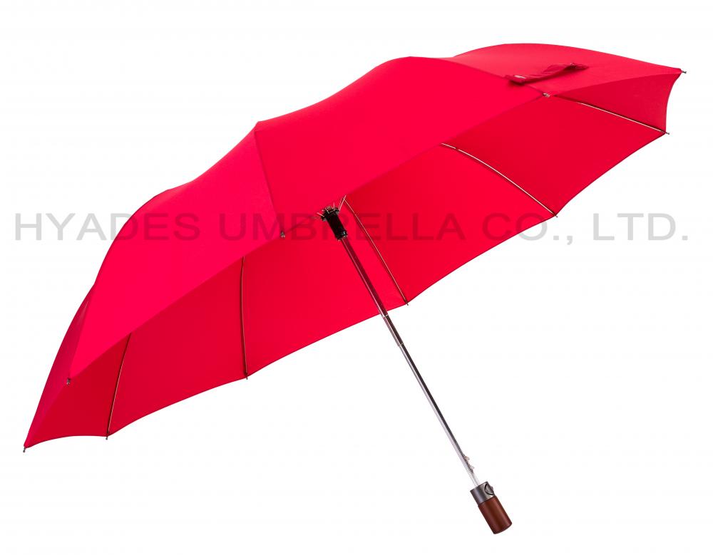 Unisex Auto Open 2 Folding Umbrella Plain Colored