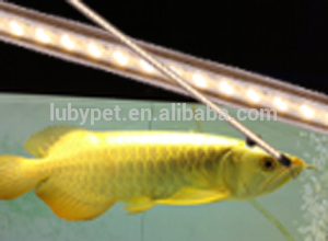 LED submersible aquarium lamp for gold arowana