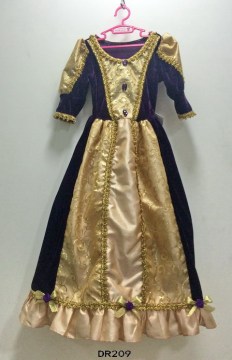 The purple and gold princess dress