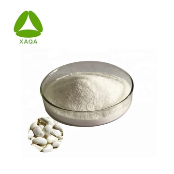 White Kidney Bean Extract Powder 1% Phaseolin