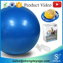 2017 Custom Balance Pilates Exercise Balls with Custom Logo