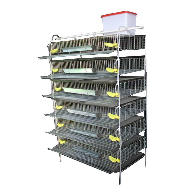 Top Selling 6 Layers Automatic Poultry Quail Farm Cage For Sale