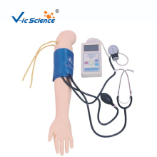 Blood Pressure Training Arm Model