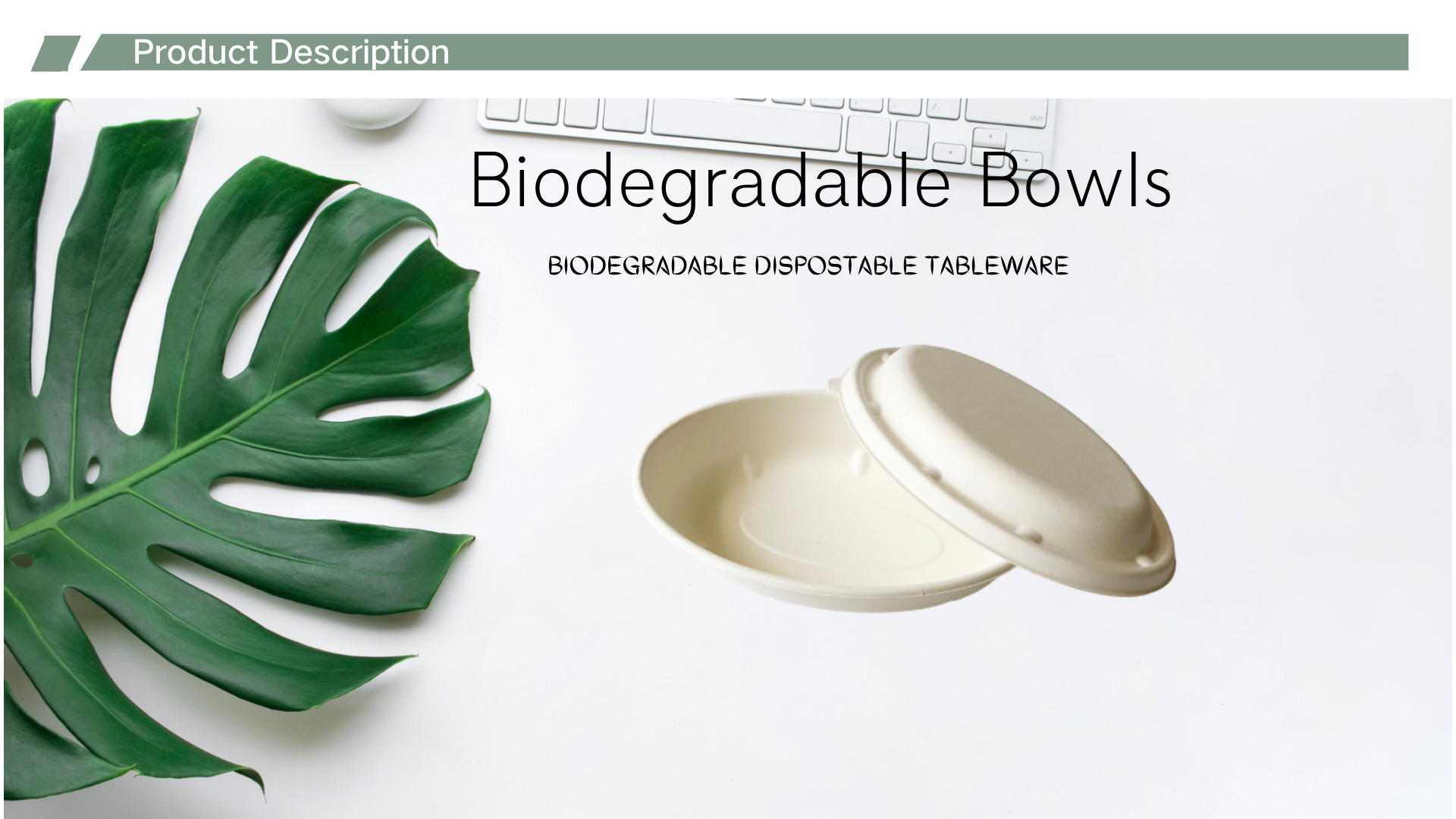 850ml bagasse oval bowl