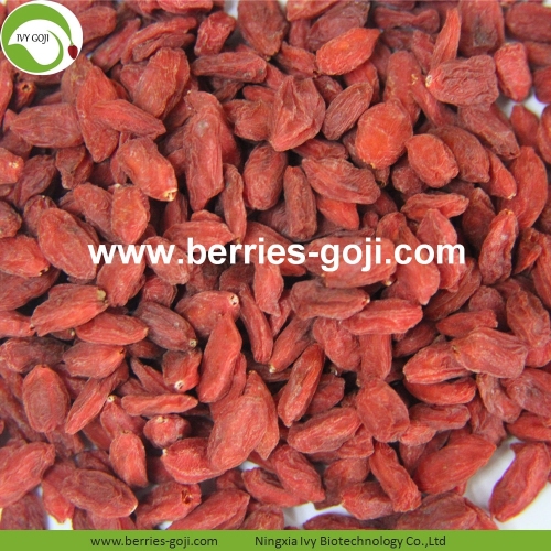 Factory Nutrition Dried Bio Goji Berry