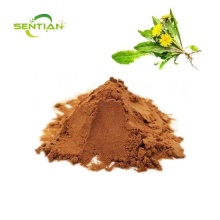 Herbal Extract Dandelion Extract Powder