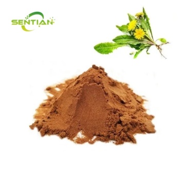 Herbal Extract Dandelion Extract Powder