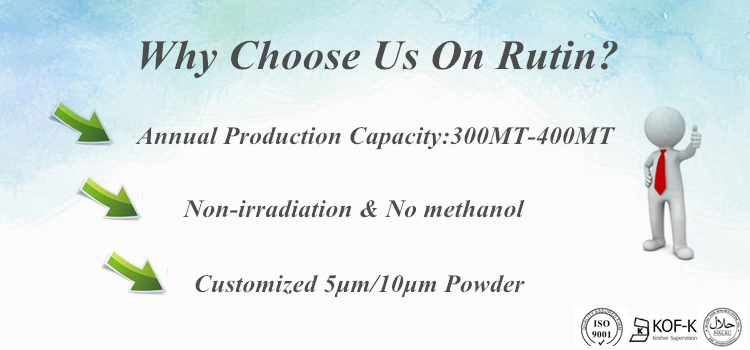 Natural Sophora Japonica Extract Powder Rutin/Rutin NF11 95%