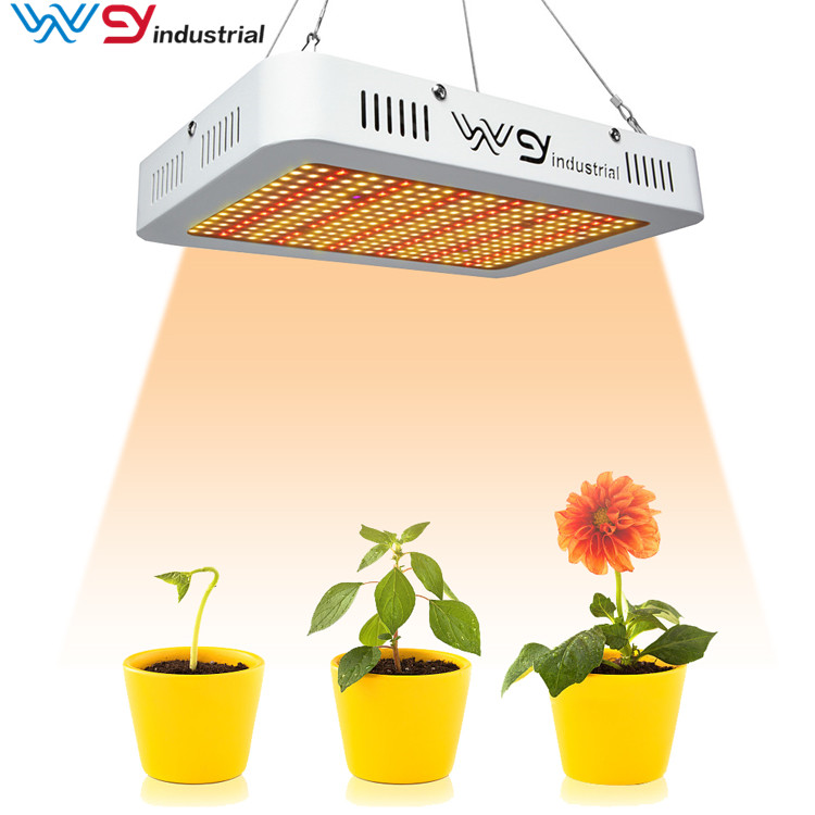 WENYI 2021 Best Selling SMD 1000w Grow Lights